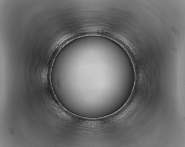 X0000112050778200908111349