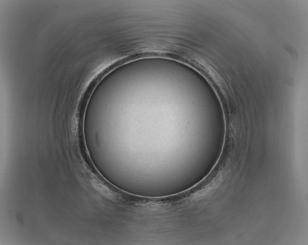 X0000112050779200908111349