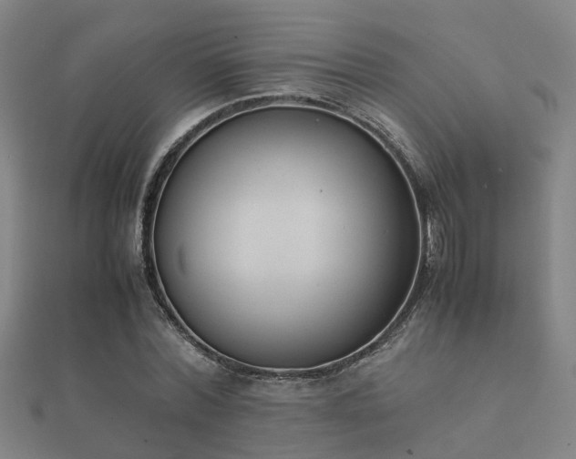 X0000112050780200908111349