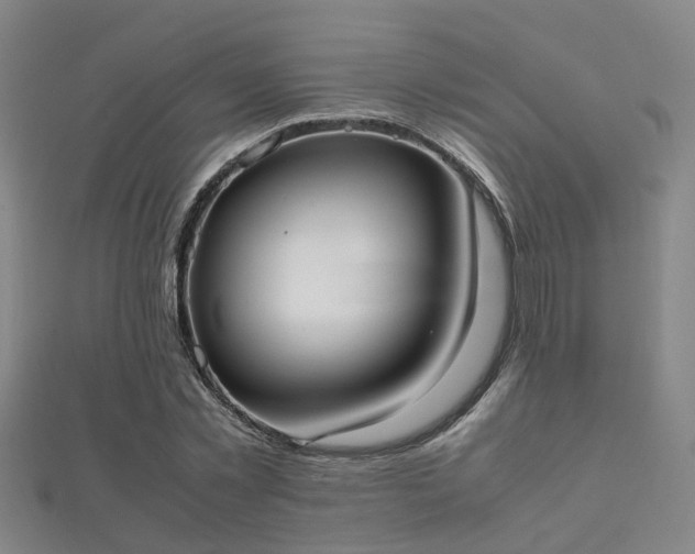 X0000112050781200908111349