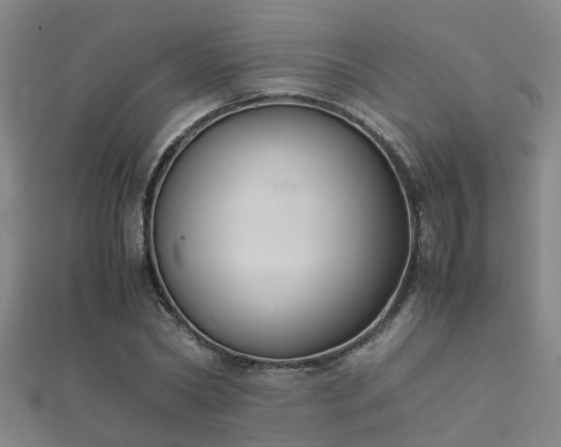 X0000112050782200908111349