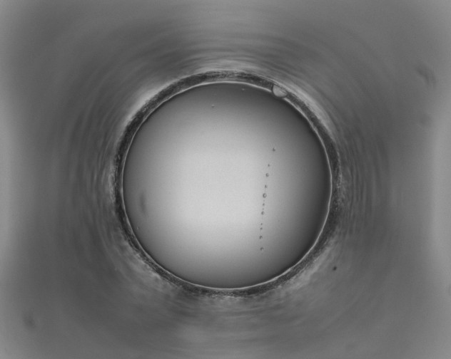 X0000112050783200908111349