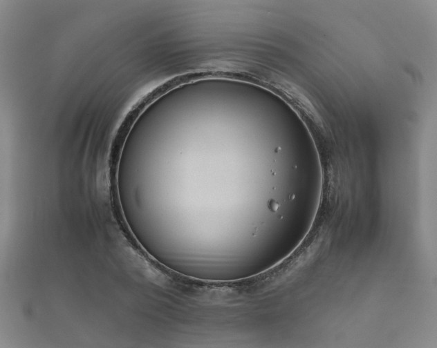 X0000112050784200908111349