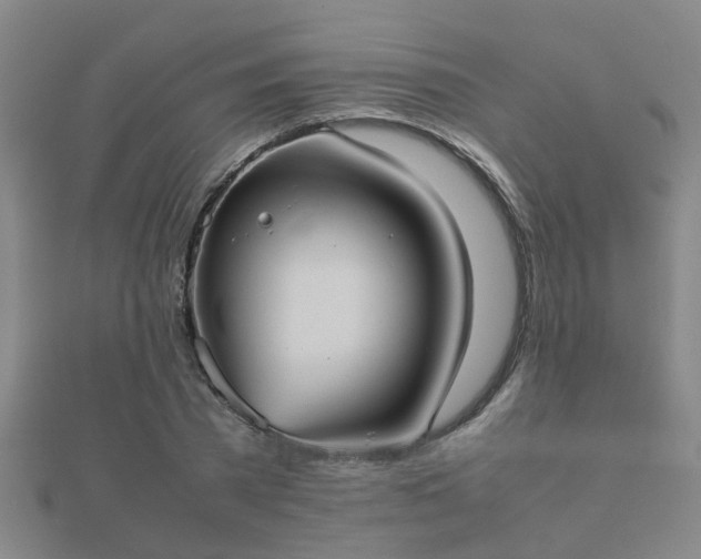 X0000112050785200908111349