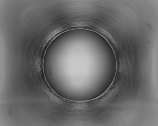 X0000112050786200908111349