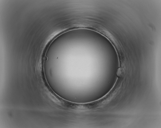 X0000112050787200908111349