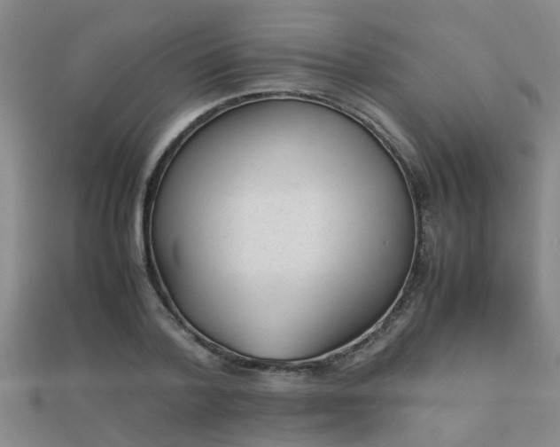 X0000112050788200908111349