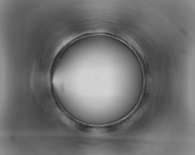 X0000112050789200908111349