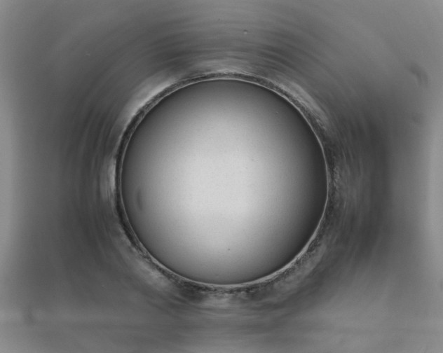 X0000112050790200908111349