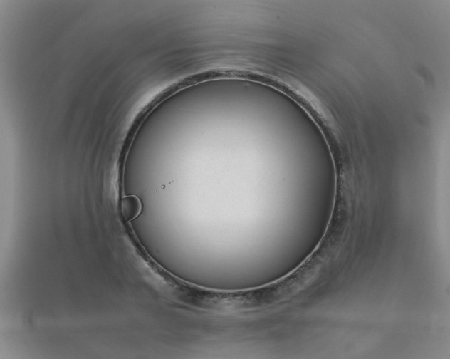 X0000112050791200908111349