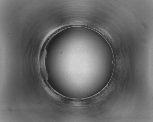 X0000112050792200908111349