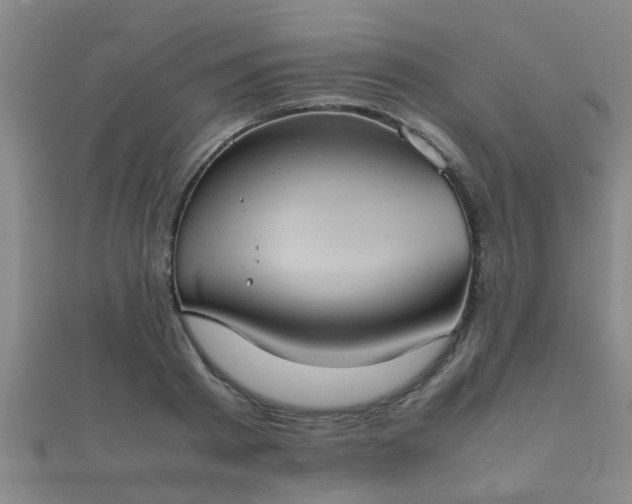 X0000112050793200908111349