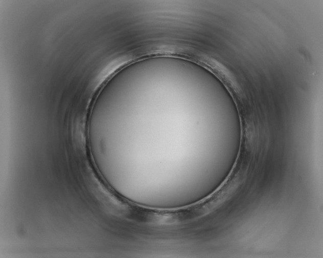 X0000112050794200908111349