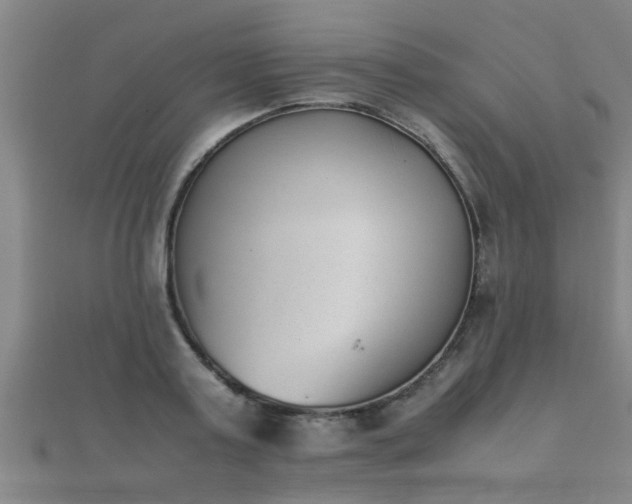 X0000112050795200908111349