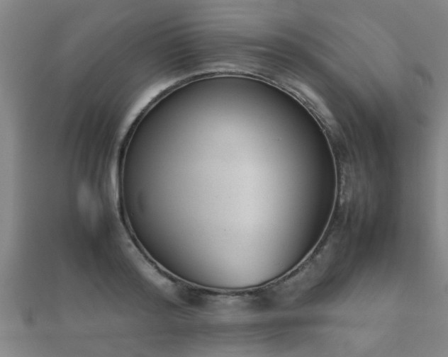 X0000112050796200908111349