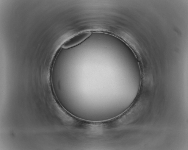 X0000112050797200908111349