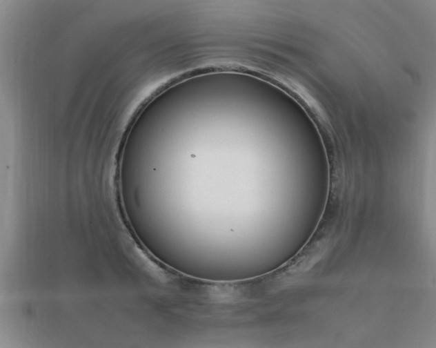 X0000112050799200908111349