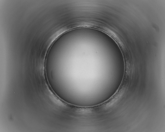 X0000112050802200908111349