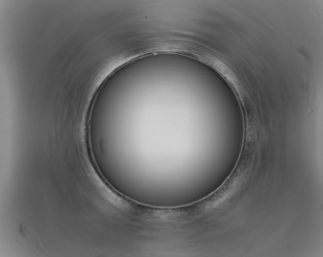 X0000112050803200908111349