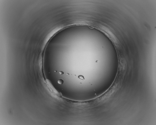 X0000112050804200908111349