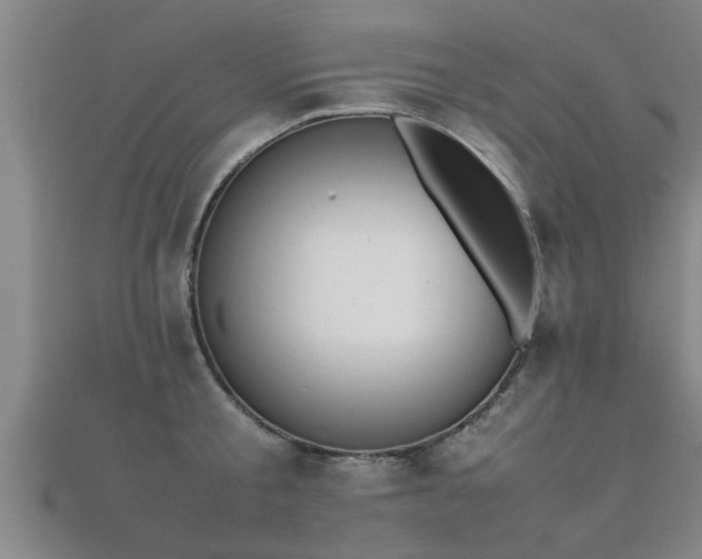 X0000112050805200908111349