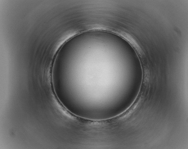 X0000112050806200908111349