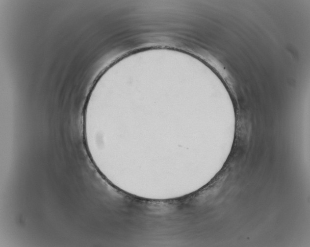 X0000112050807200908111349