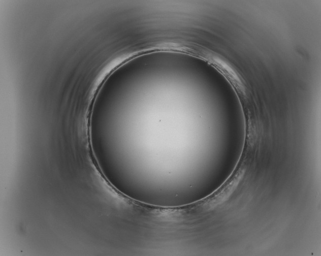 X0000112050808200908111348