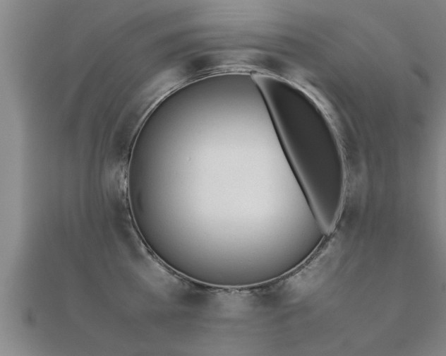 X0000112050809200908111348