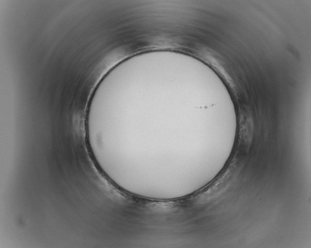 X0000112050810200908111348