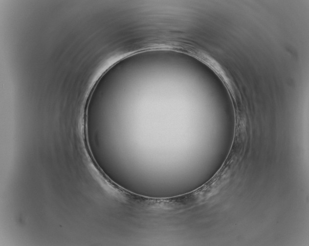 X0000112050811200908111348