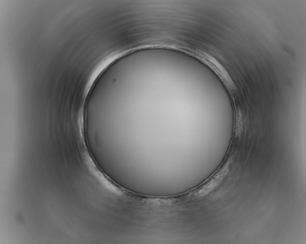 X0000112050812200908111348