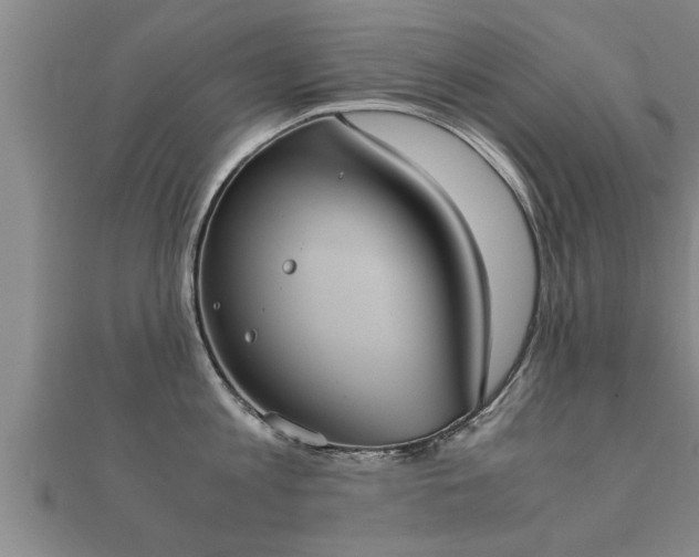 X0000112050813200908111348