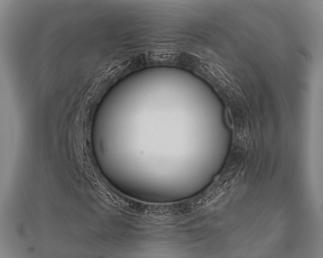 X0000112050817200908111347