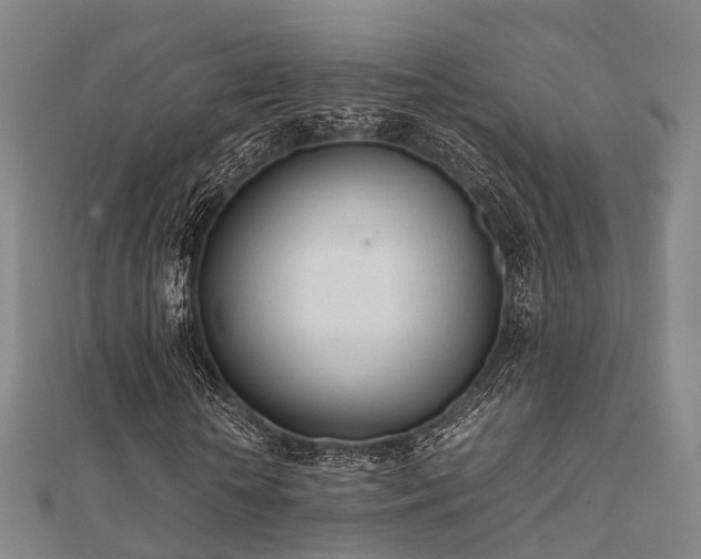 X0000112050818200908111348