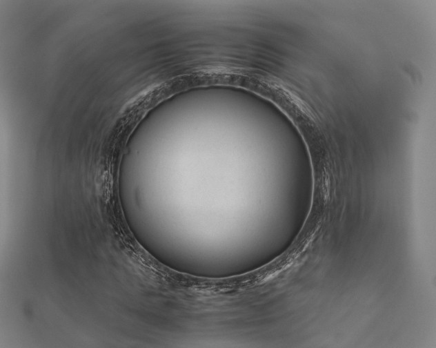 X0000112050821200908111348