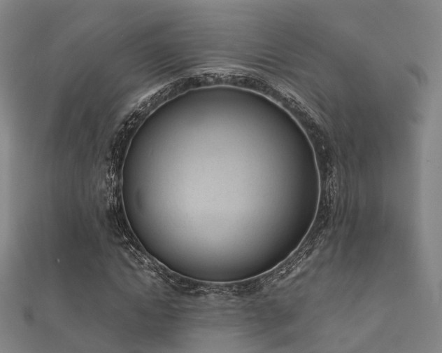 X0000112050822200908111348