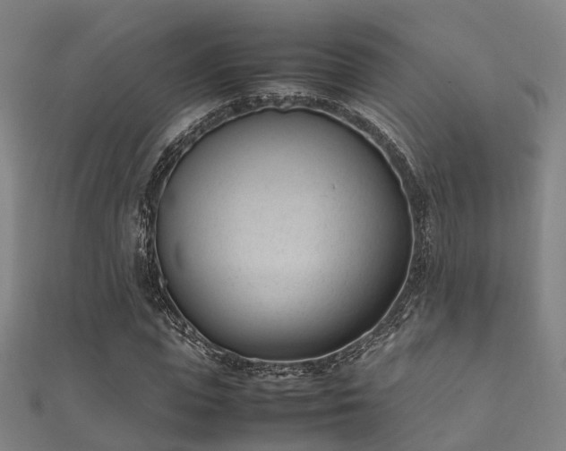 X0000112050823200908111348