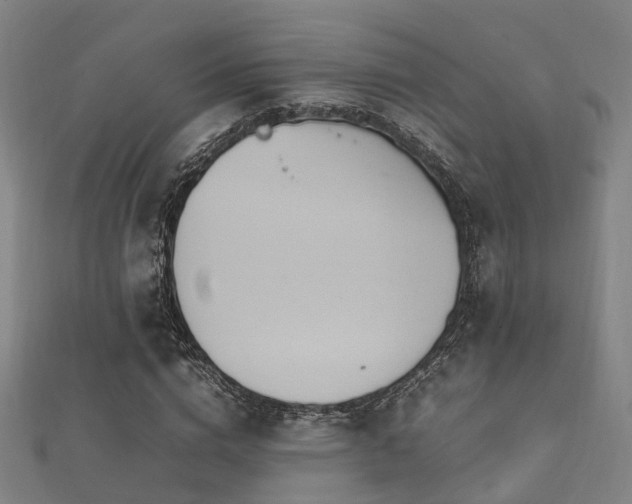 X0000112050824200908111348