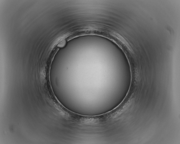 X0000112050826200908111348