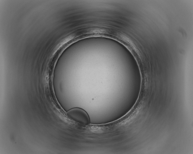 X0000112050827200908111348