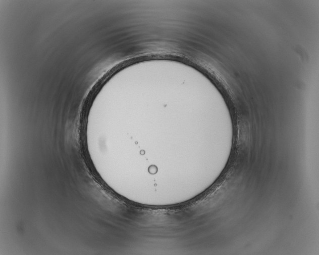 X0000112050828200908111348