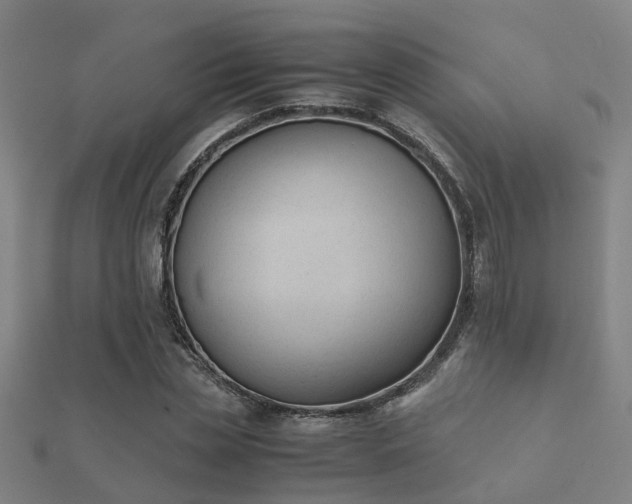 X0000112050829200908111348