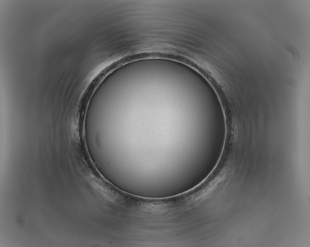 X0000112050830200908111348