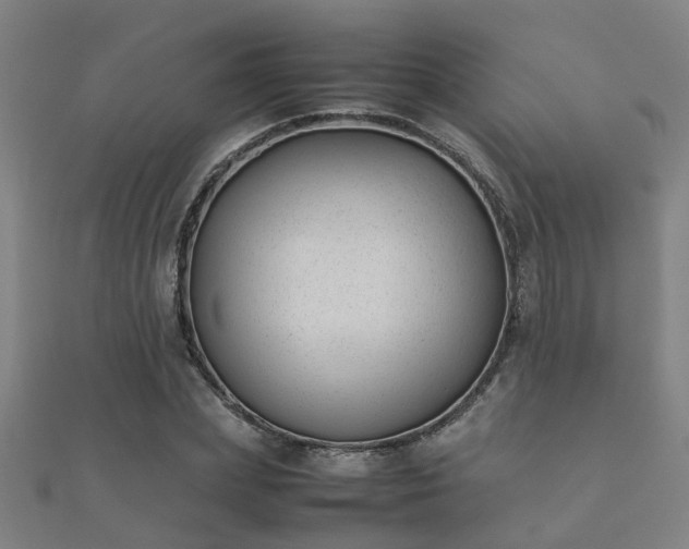 X0000112050831200908111348