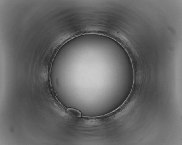 X0000112050833200908111348