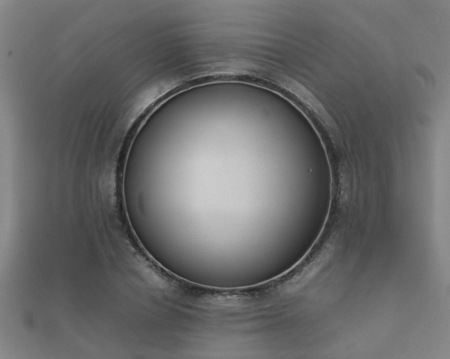 X0000112050834200908111348