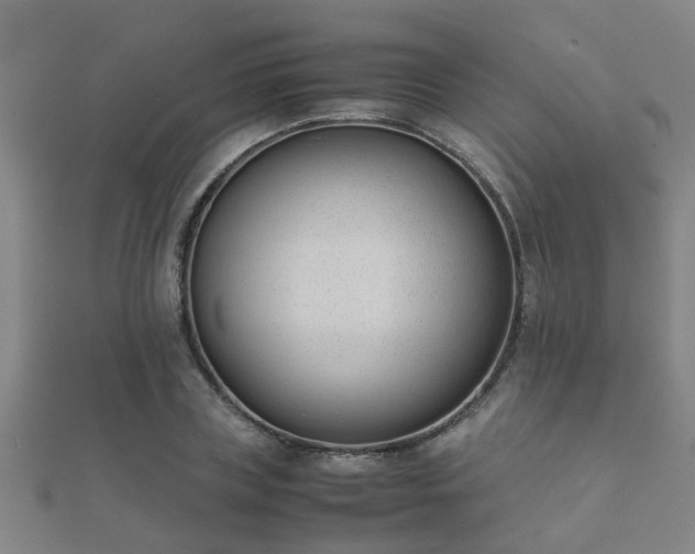 X0000112050835200908111348