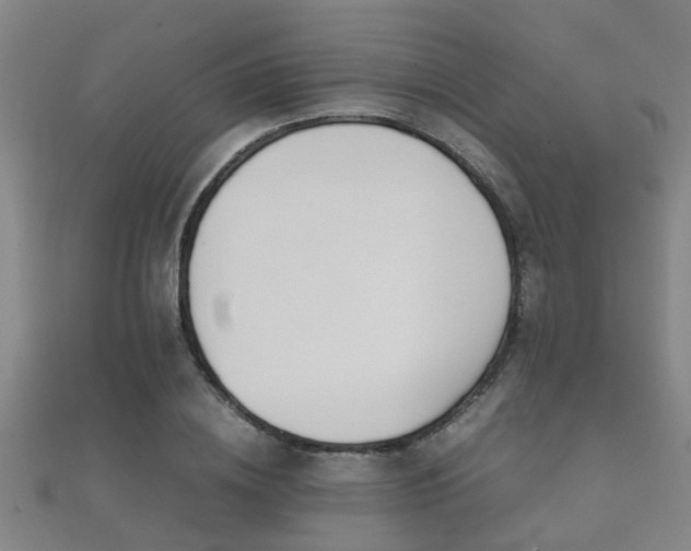 X0000112050836200908111348