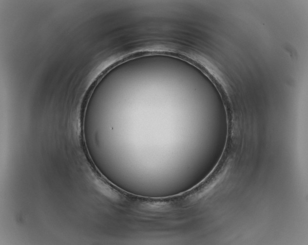 X0000112050837200908111348